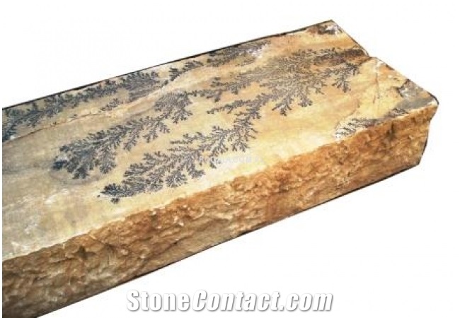 Fossil Sandstone Pool Deck Coping