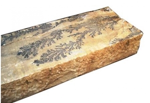 Fossil Sandstone Pool Deck Coping