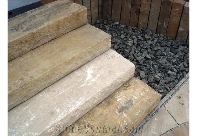 Fossil Sandstone Pool Deck Coping