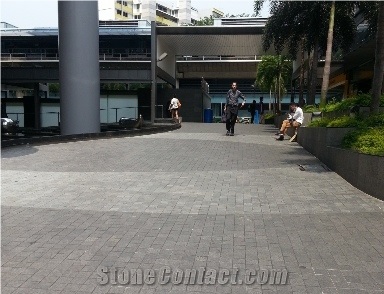 Grey Granite Paver, Paving Stone