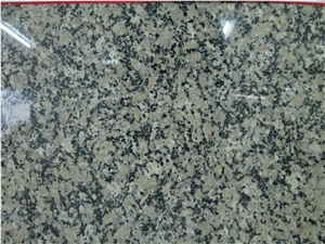 China Mokalsar Green Granite Polished Slab