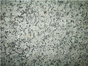 China Mokalsar Green Granite Polished Slab