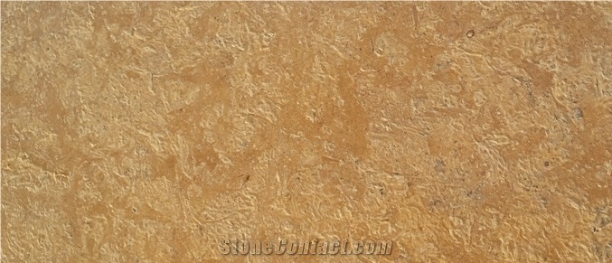 Floweri Gold Limestone