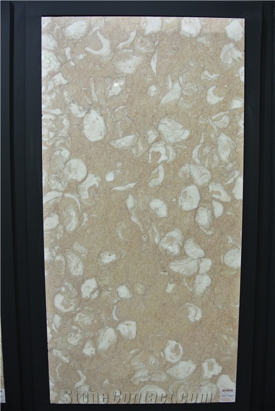 Art Fossil Limestone, Shellstone, Turkey Shelly Beige Limestone Slabs