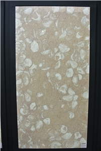 Art Fossil Limestone, Shellstone, Turkey Shelly Beige Limestone Slabs