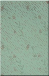 20X30cm Ceramic Wall Tile