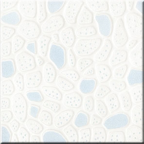 30X30cm Ceramic Floor Tile