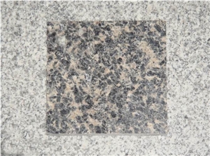 Leopard Skin Flower Slab & Tile, Leopard Skin Flower Granite Tiles
