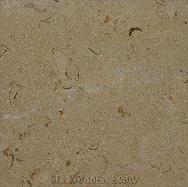 Crema Cenia Limestone Slabs, Spain Beige Limestone
