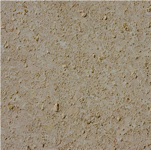 Lumaquela Amarilla Limestone Slabs, Spain Yellow Limestone