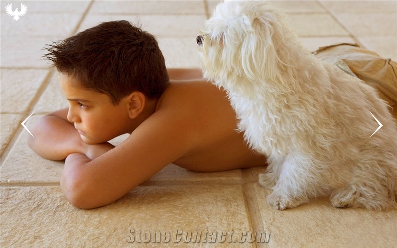 Coral Stone Floor Tiles, Mexican Coral Stone Flooring