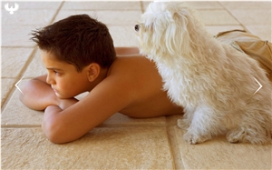Coral Stone Floor Tiles, Mexican Coral Stone Flooring