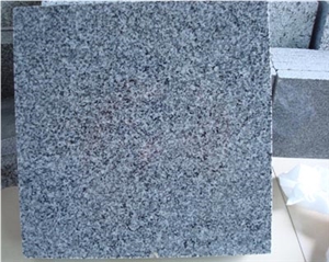 G654 Granite Polished Slab, China Black Granite