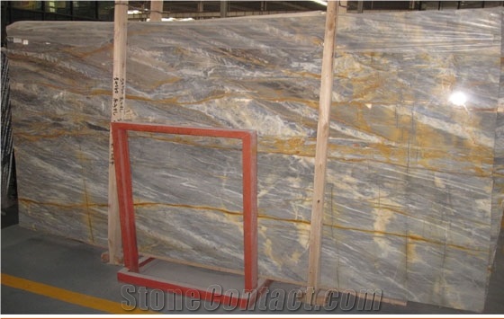 Grey and Gold Marble Orazia Gold