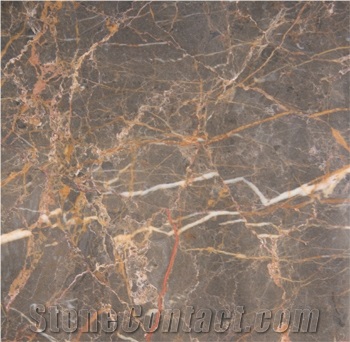 Golden Archida, Iran Brown Marble Slabs & Tiles