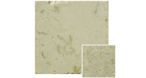 Beige Coral Stone, Marbella Shellstone Beige Tiles