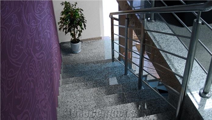 Tiger Skin White Granite Stairs
