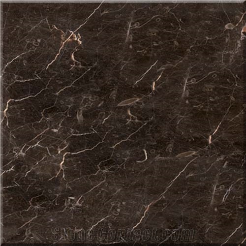 St Laurent Marble