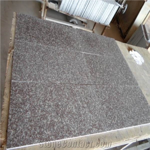 G664 Red Granite for Steps & Risers