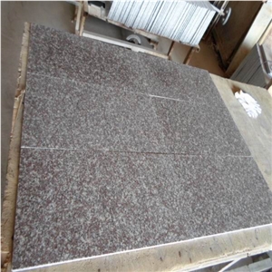 G664 Red Granite for Steps & Risers
