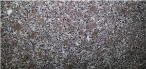 Granite PC Violet Tiles, Viet Nam Lilac Granite