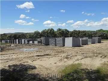 Negro Ochavo Especial Granite Tiles Slabs, Black Ochavo Granite