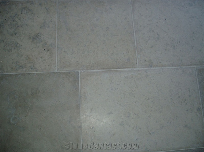 French Limestone Tiles Grey Pierre De Limeyrat Frightened Mouse