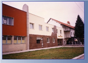 Facade Building Stones, Walling