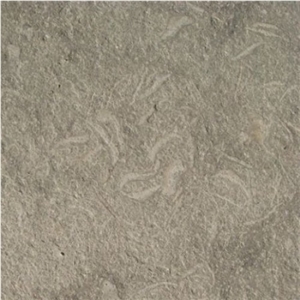 Sea Grass Lime Stone Brushed & Flamed 24x24, SeaGrass Limestone Slabs