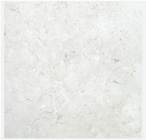 Seashell Limestone Honed Slabs