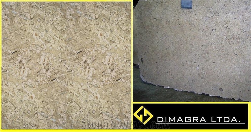 Cafe Pinto Limestone Slabs, Colombia Brown Limestone