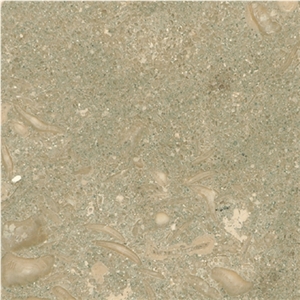 Seagrass Limestone Rustic Green Elite