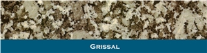 Grissal Granite Tiles, Spain Grey Granite Grissal Granite Tiles, Spain Grey Granite