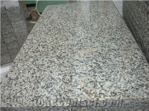 Tiger Skin White Countertops, Granite Monument, Tombstone