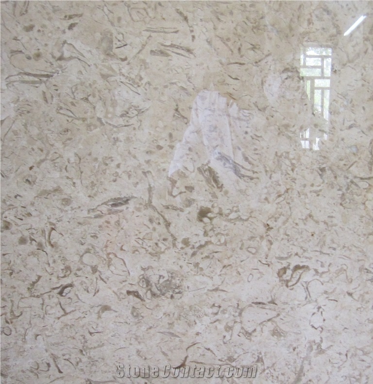 Fossil Beige Marble Slabs & Tiles, Iran Fossil Beige Marble