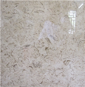 Fossil Beige Marble Slabs & Tiles, Iran Fossil Beige Marble
