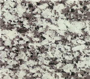 Gran Perla Granite Tile, Grey Granite Slab