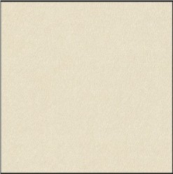 60X60cm Rustic Floor Tile