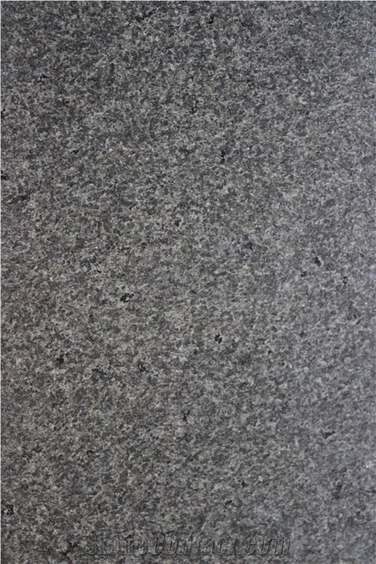 China Cambrian Black