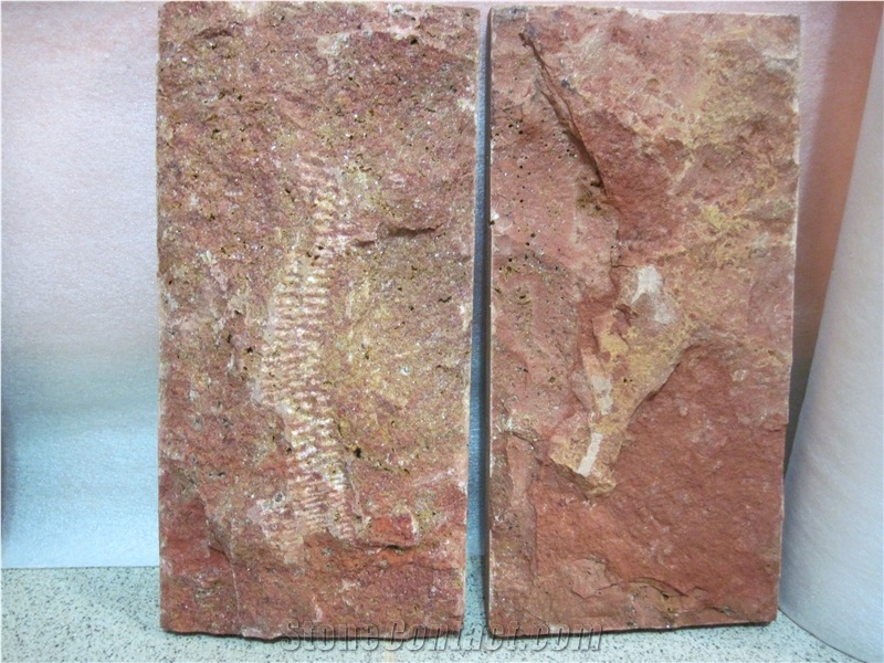 Mushroom Stone