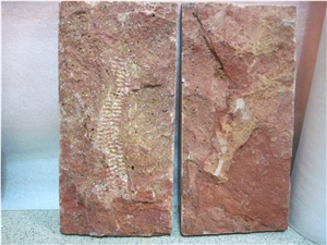 Mushroom Stone