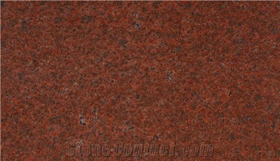 Bruno Red Slabs & Tiles, Ruby Red Granite Tiles