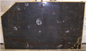 Etruscan Black, Fossil Black Slabs, Moroccan Fossile Black Limestone Slabs