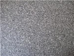 Snowflake Granite Tiles,G303, G303 Blue Granite Monument, Tombstone