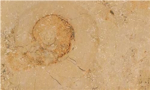 Jura Gelb, Jura Beige Limestone Tiles