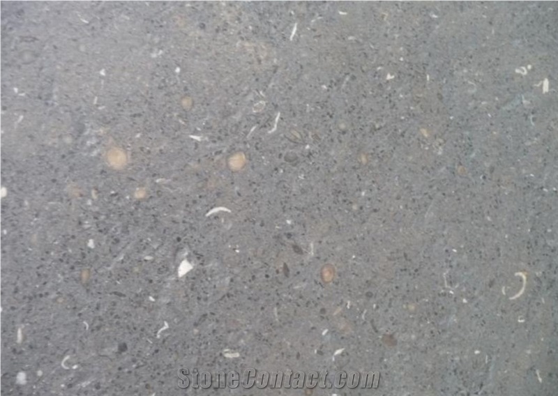 Gris De Catalan Limestone Slabs, Spain Grey Limestone