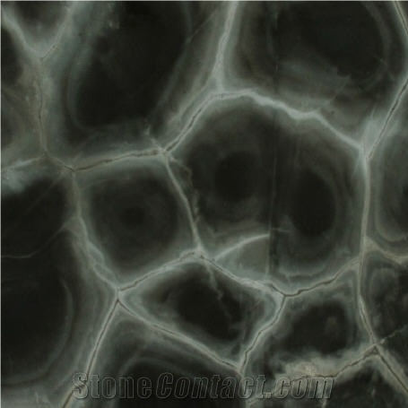 Verde Tortuga Quartzite Slabs, Brazil Green Quartzite