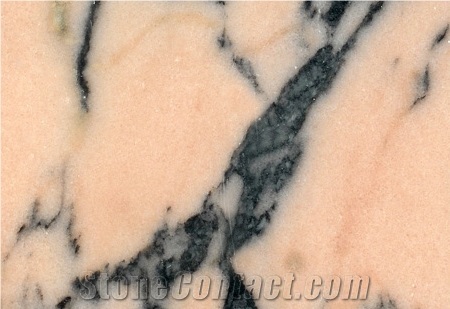 Marmore Claro Veios Cinza, Rosa Venado Marble Tiles
