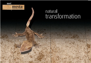 Mesta Emperador Light Marble Tiles and Slabs, Turkey Brown Marble