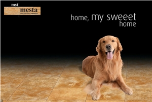 Mesta Golden Sienna Travertine Tiles, Turkey Yellow Travertine Mesta Golden Sienna Travertine Tiles, Turkey Yellow Travertine